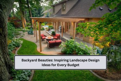 Backyard Beauties: Inspiring Landscape Design Ideas for Every Budget