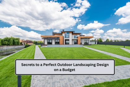 Outdoor Landscaping Design on a Budget